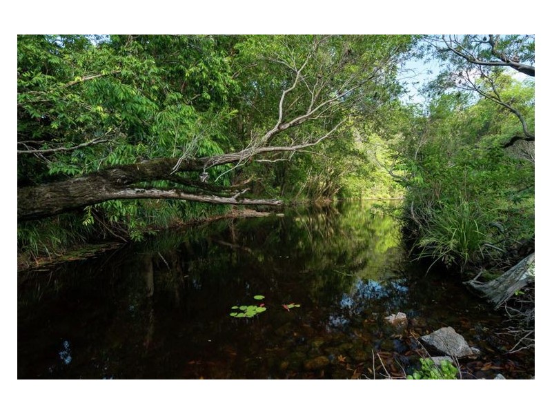 41 Colemans Road, Yandina QLD 4561