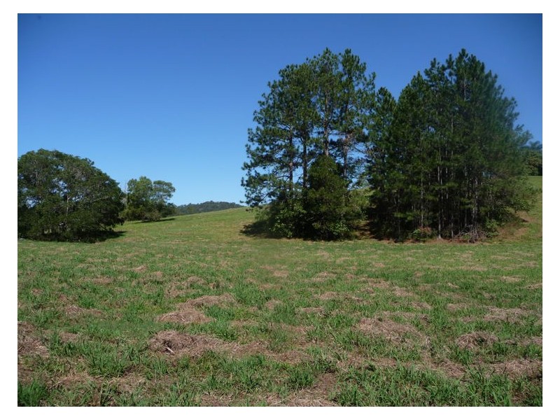 81 Pringle Road, Rosemount QLD 4560