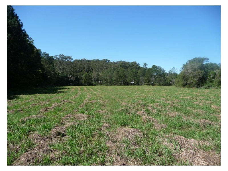 81 Pringle Road, Rosemount QLD 4560