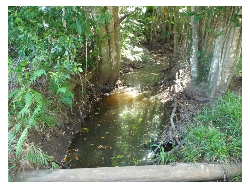 81 Pringle Road, Rosemount QLD 4560