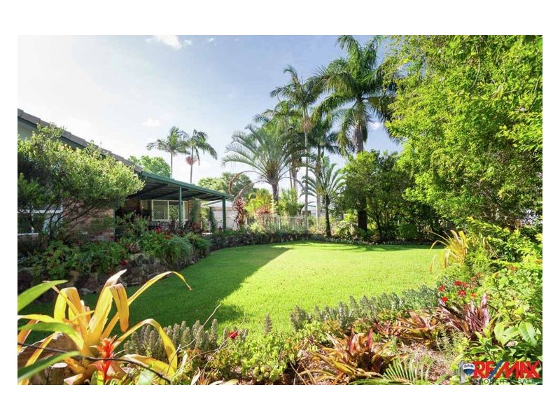 10 Cox Street, Yandina QLD 4561