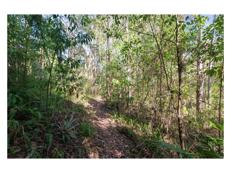 10 Meher Road, Kiels Mountain QLD 4559