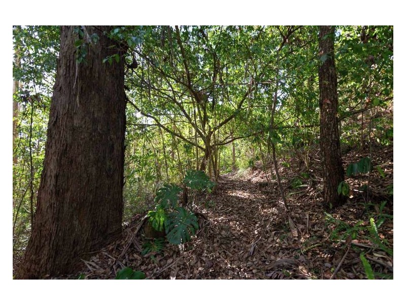 10 Meher Road, Kiels Mountain QLD 4559