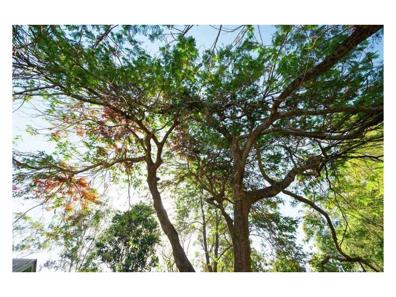 10 Meher Road, Kiels Mountain QLD 4559