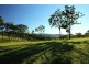 Wedgetail Court, Ninderry QLD 4561
