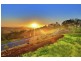 Wedgetail Court, Ninderry QLD 4561
