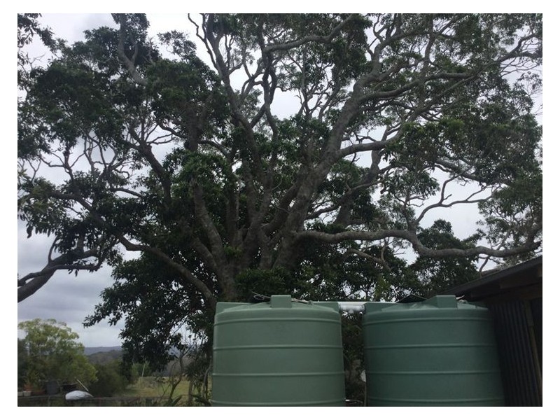 460 Nambour-Mapleton Road, Kureelpa QLD 4560