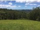 Wedgetail Court, Ninderry QLD 4561