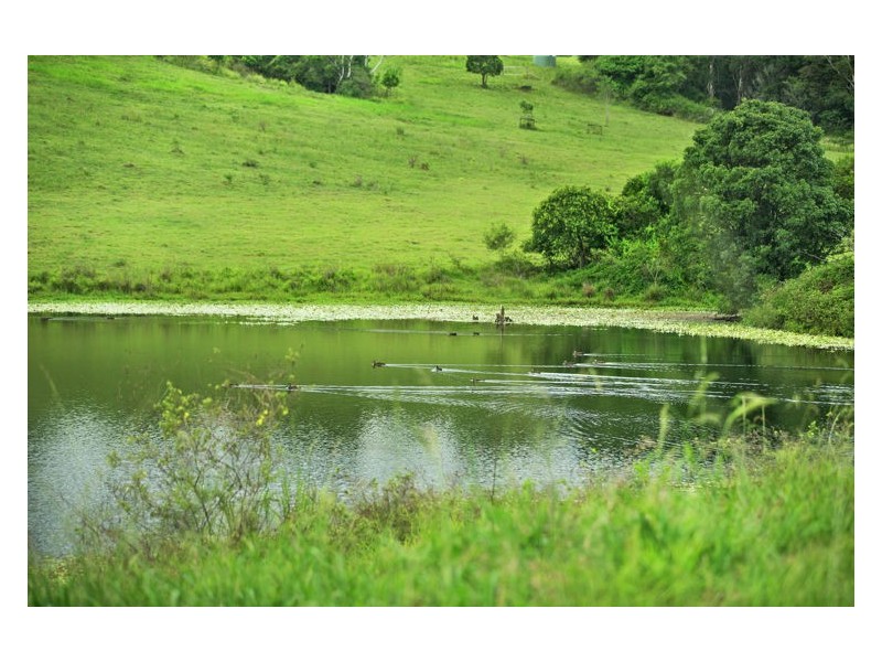 398 Dulong Road, Dulong QLD 4560