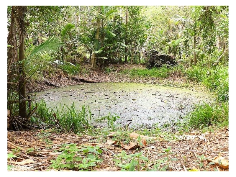 111 Hunchy Road, Hunchy QLD 4555