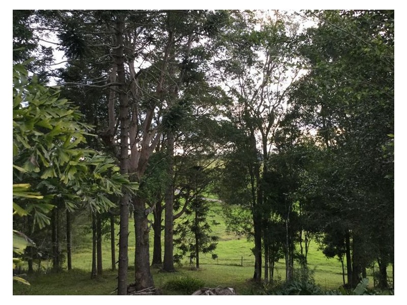 86-100 Thompson Road, Dulong QLD 4560