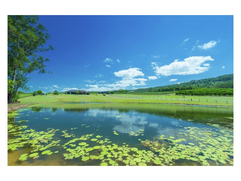 138 Gold Creek Road, North Arm QLD 4561