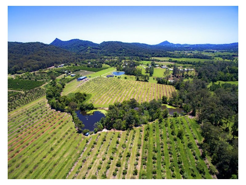 138 Gold Creek Road, North Arm QLD 4561