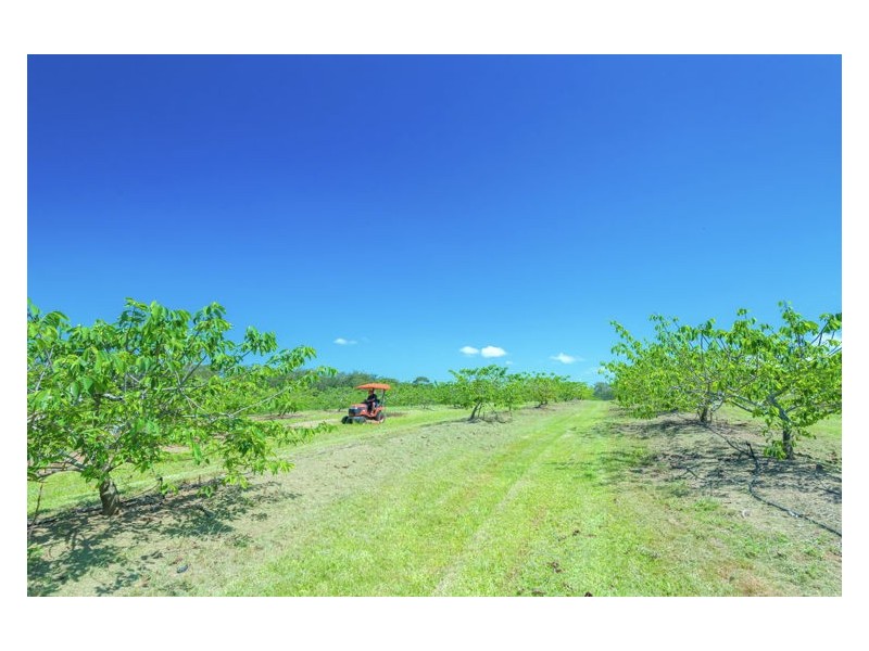 138 Gold Creek Road, North Arm QLD 4561