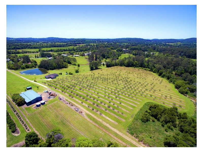 138 Gold Creek Road, North Arm QLD 4561