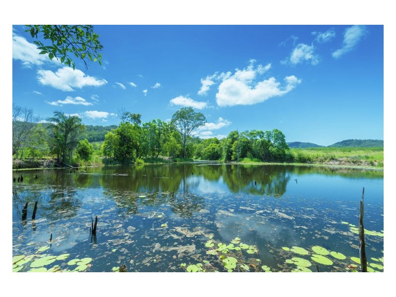 138 Gold Creek Road, North Arm QLD 4561