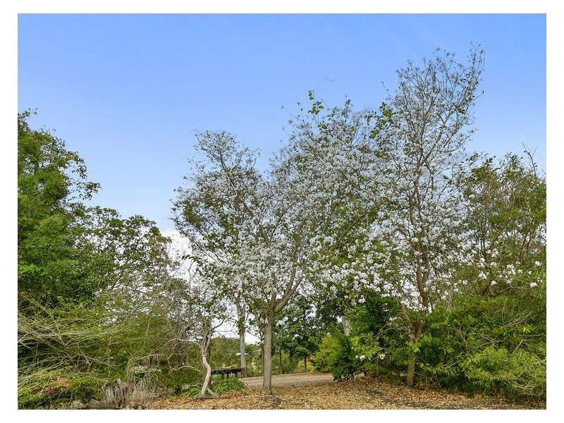 431 Kureelpa Falls Road, Kureelpa QLD 4560