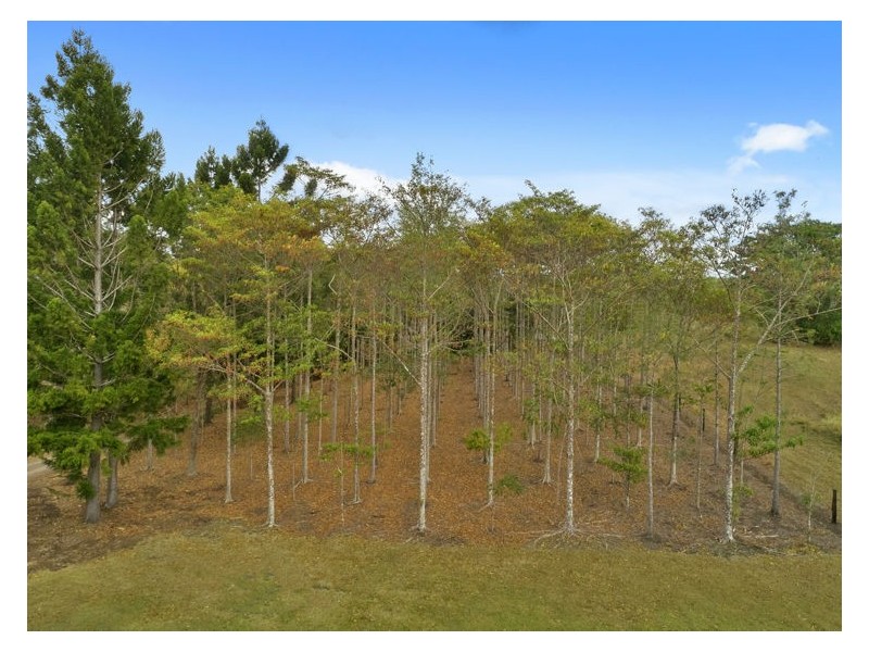 431 Kureelpa Falls Road, Kureelpa QLD 4560