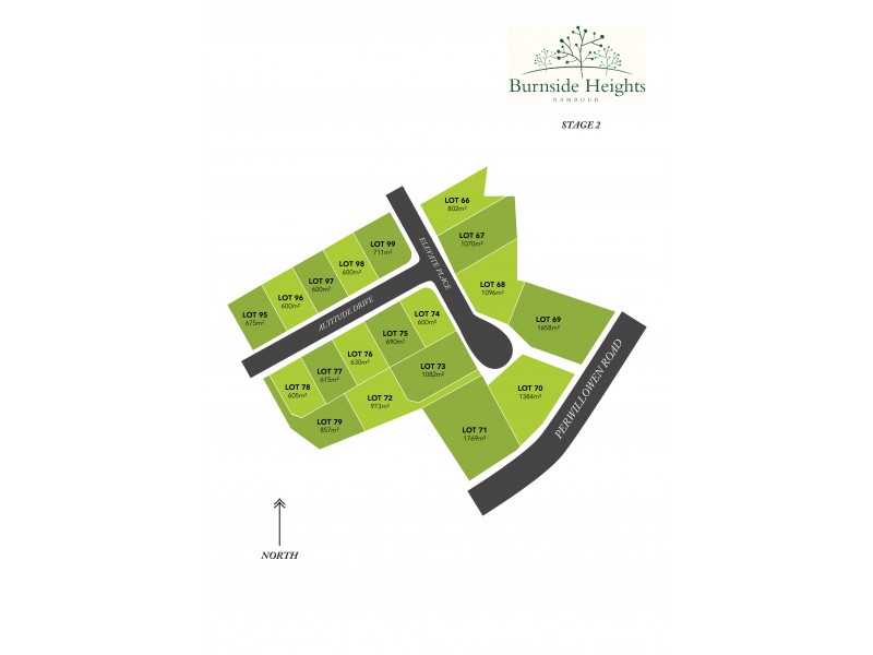 Lot 99 Burnside Heights, Burnside QLD 4560 Floorplan