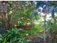70 Main Street, Palmwoods QLD 4555