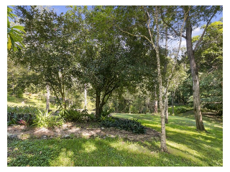 39 Carruthers Road, West Woombye QLD 4559