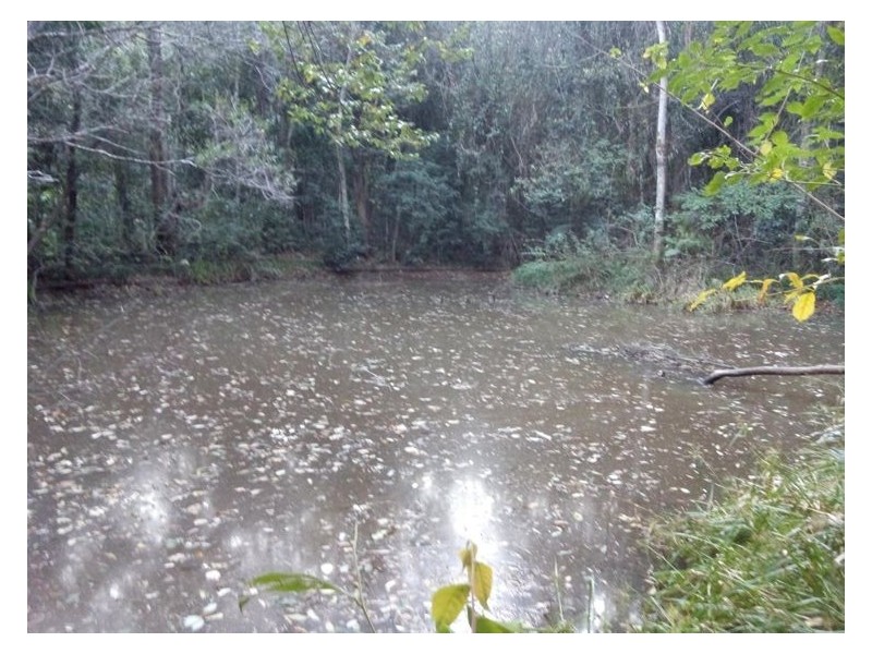 138 Upper Rosemount Road, Rosemount QLD 4560