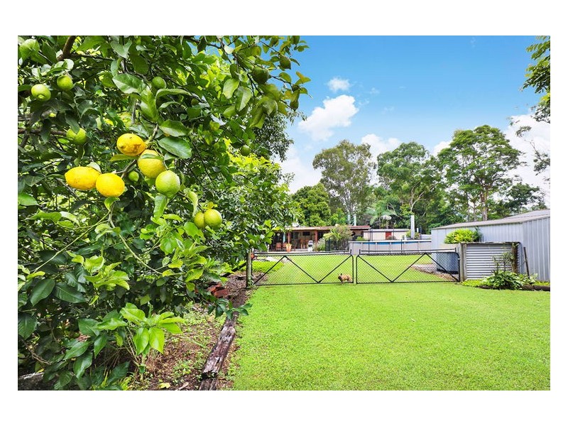 8 Carruthers Road, Woombye QLD 4559