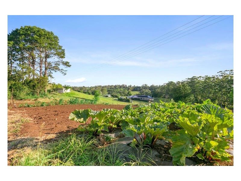 46 Johnson Road, Mapleton QLD 4560