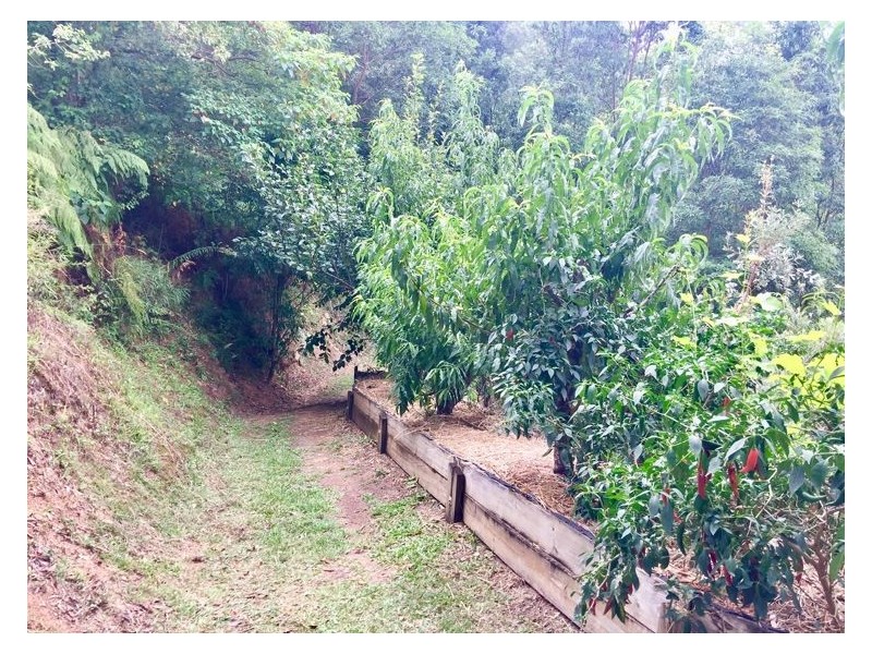 110 Kirbys Road, Montville QLD 4560