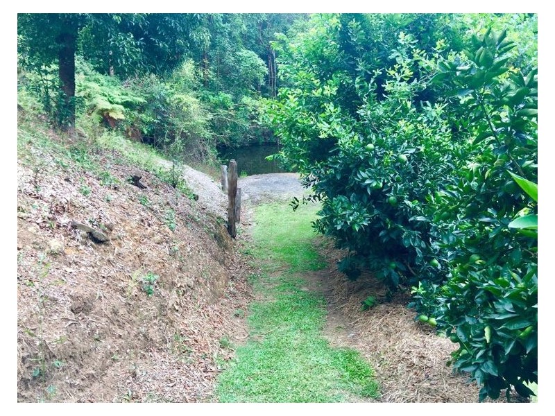 110 Kirbys Road, Montville QLD 4560