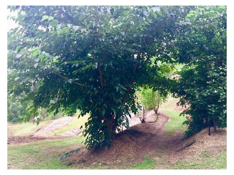 110 Kirbys Road, Montville QLD 4560