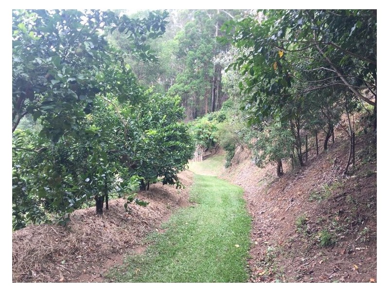 110 Kirbys Road, Montville QLD 4560