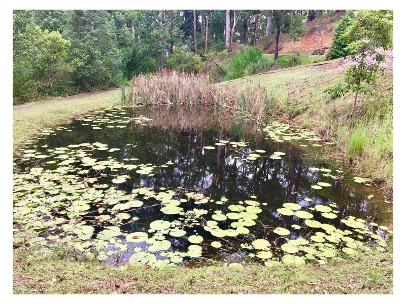 110 Kirbys Road, Montville QLD 4560