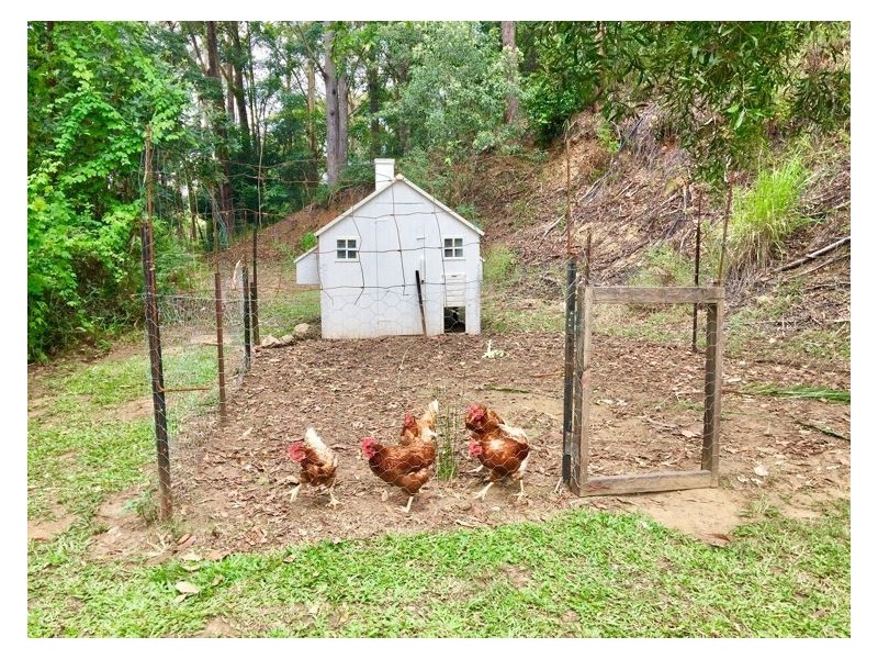 110 Kirbys Road, Montville QLD 4560