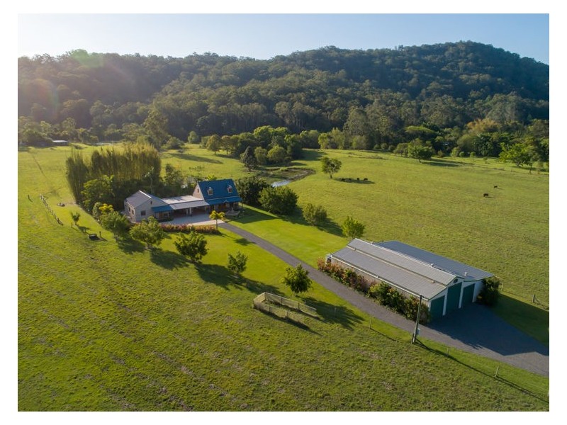 41 Colemans Farm Road, Yandina QLD 4561