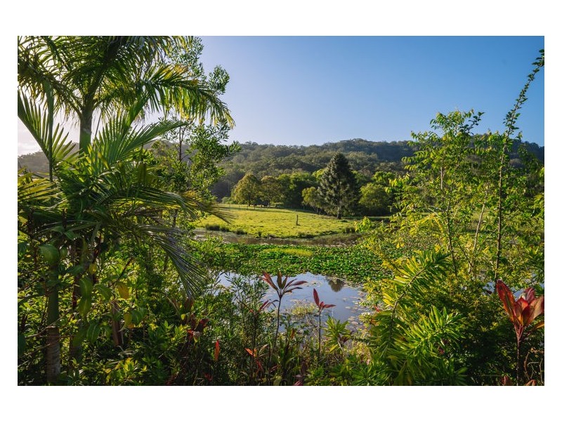 41 Colemans Farm Road, Yandina QLD 4561