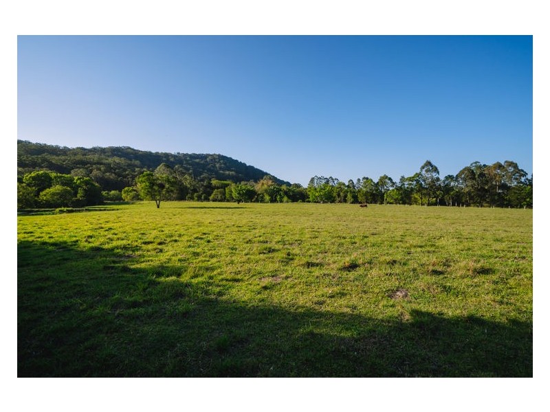 41 Colemans Farm Road, Yandina QLD 4561