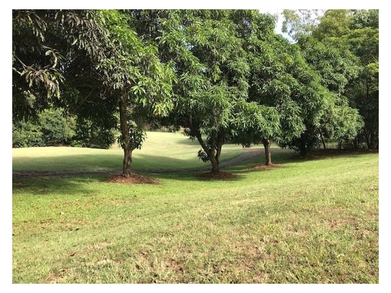 111 (Lot 36) Camp Flat Road, Bli Bli QLD 4560