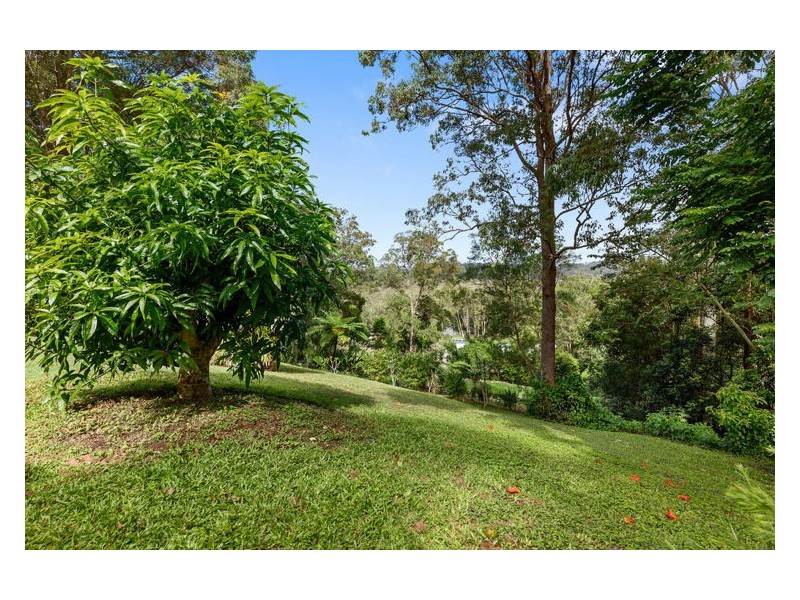 36 Bahdilli Cres, Diddillibah QLD 4559