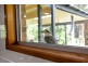36 Bahdilli Cres, Diddillibah QLD 4559