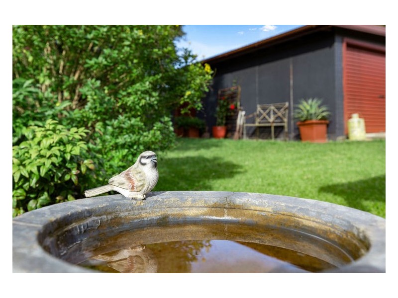 50 Donaldson Road, Nambour QLD 4560