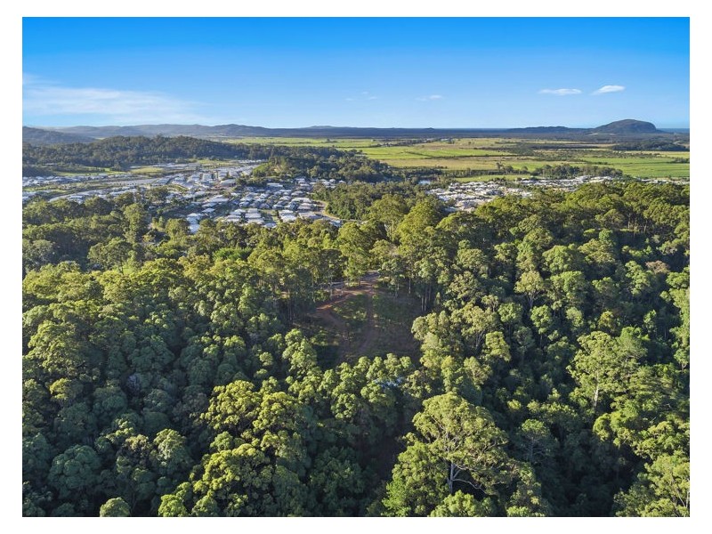 82 Camp Flat Road, Bli Bli QLD 4560