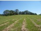 81 Pringle Road, Rosemount QLD 4560