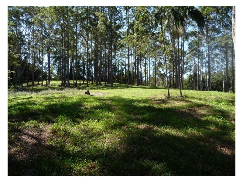 81 Pringle Road, Rosemount QLD 4560