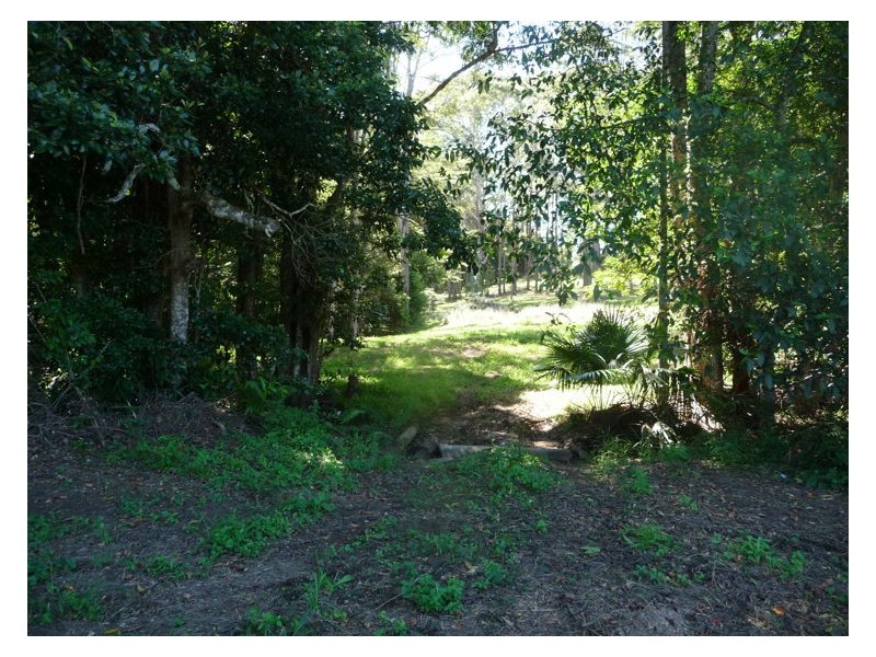 81 Pringle Road, Rosemount QLD 4560