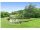 19 Wombat Pl, Ninderry QLD 4561