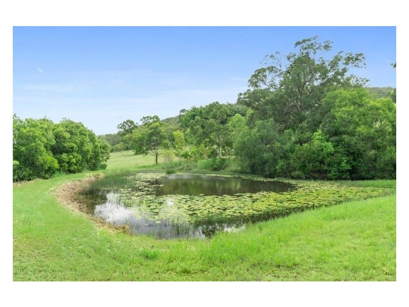 19 Wombat Pl, Ninderry QLD 4561