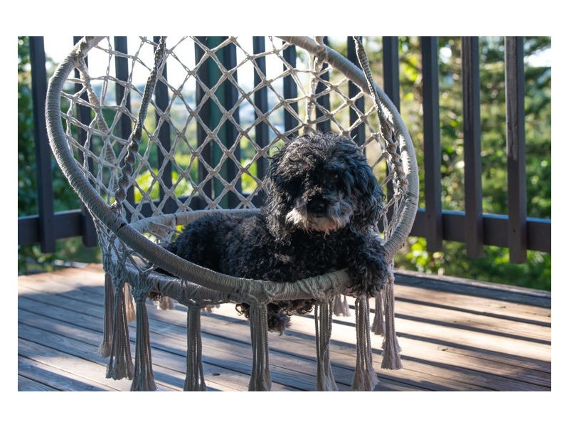 323 Nambour-Mapleton Road, Burnside QLD 4560