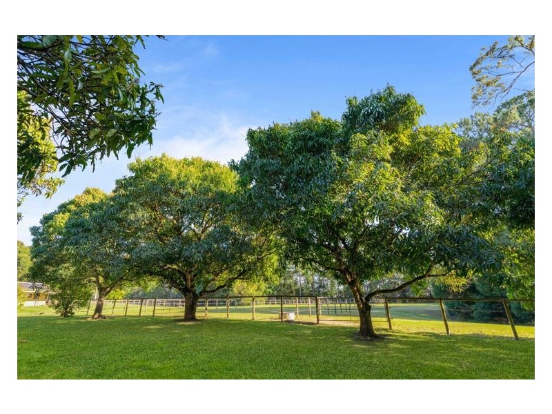 65 Wappa Falls Road, Yandina QLD 4561
