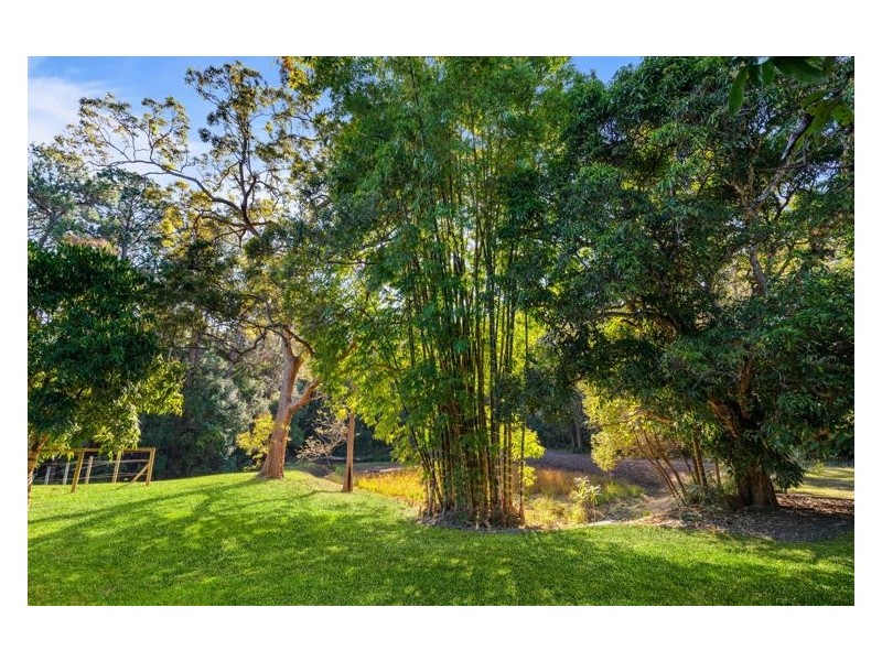 65 Wappa Falls Road, Yandina QLD 4561